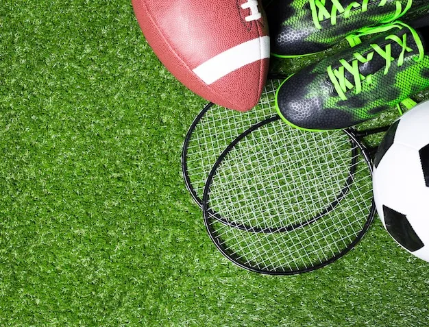 法甲直播体育 赛事直播界面